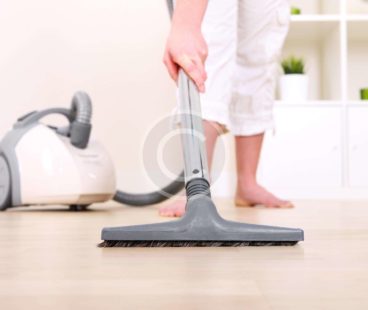 The Professional Cleaning